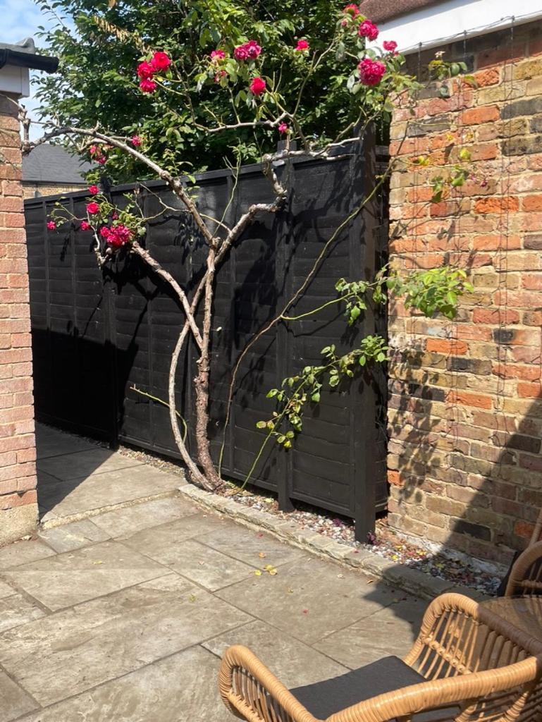 2 Bedroom House In Central Windsor - The Town Buitenkant foto